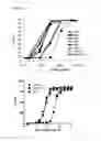 Fig. 09 - Antibodies to CD70