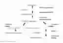 Fig. 02 - Monoclonal antibodies with enhanced ADCC function