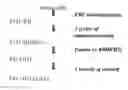 Fig. 03 - Monoclonal antibodies with enhanced ADCC function