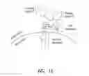 Fig. 06 - Multipartite signaling proteins and uses thereof