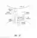 Fig. 07 - Multipartite signaling proteins and uses thereof