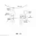 Fig. 08 - Multipartite signaling proteins and uses thereof