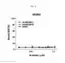 Fig. 09 - RNA-specific binding antibody
