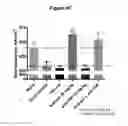 Fig. 09 - IMMUNOBINDERS DIRECTED AGAINST SCLEROSTIN