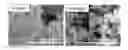 Fig. 01 - Flexible to rigid nanoporous polyurethane-acrylate (PUAC) type materials for structural and thermal insulation applications