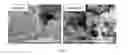 Fig. 06 - Flexible to rigid nanoporous polyurethane-acrylate (PUAC) type materials for structural and thermal insulation applications