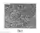 Fig. 04 - ETHYLENE OXIDE-CONTAINING COPOLYMERS AND METHODS THEREOF