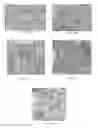 Fig. 02 - IONOMER COMPOSITE