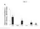 Fig. 14 - FGF having enhanced stability