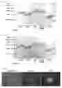 Fig. 02 - Methods and products for expressing proteins in cells