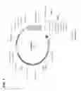 Fig. 02 - Immunostimulatory plasmids