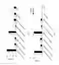 Fig. 08 - Multiprotein expression cassettes