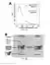 Fig. 04 - Inducible reconstitution and real-time quantitative kinetic system for the study of intramembrane enzymes