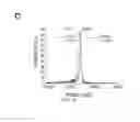 Fig. 09 - Inducible reconstitution and real-time quantitative kinetic system for the study of intramembrane enzymes
