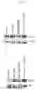 Fig. 09 - Phospholipase C gamma 2 and resistance associated mutations