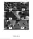 Fig. 04 - Method for the preparation of carbon fiber from polyolefin fiber precursor