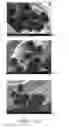 Fig. 08 - Method for the preparation of carbon fiber from polyolefin fiber precursor