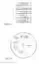 Fig. 44 - Development of a switching roller finger follower for cylinder deactivation in internal combustion engines