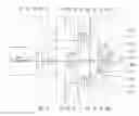 Fig. 01 - Vehicle transmission in group construction