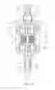 Fig. 02 - Spur differential gear