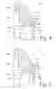 Fig. 04 - Extractor for a firearm