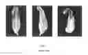 Fig. 02 - Method for investigating early liner collapse in a shaped charge