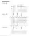 Fig. 02 - Objective lens and observation apparatus having the same