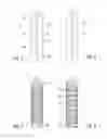 Fig. 03 - Drug dispensing device