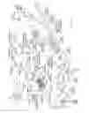 Fig. 02 - Adaptive projected information handling system output devices