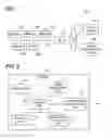 Fig. 02 - IMAGE FORMING SYSTEM AND IMAGE FORMING DEVICE