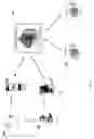 Fig. 02 - System and method for securing, and providing secured access to encrypted global identities embedded in a QR code