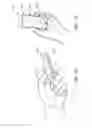 Fig. 02 - Method of controlling an electronic device