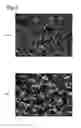 Fig. 09 - Target for ultraviolet light generation, electron beam-excited ultraviolet light source, and production method for target for ultraviolet light generation