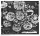 Fig. 01 - Doped lithium-rich layered composite cathode materials