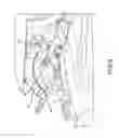 Fig. 07 - Landing gear electrical swivel