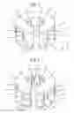 Fig. 02 - Servo valve torque motor