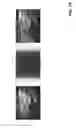 Fig. 15 - Imaging systems and methods for immersive surveillance