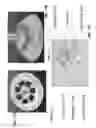 Fig. 43 - Imaging systems and methods for immersive surveillance