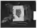 Fig. 01 - Grape plant named 'ARRATWENTYTWO'
