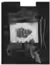 Fig. 02 - Grape plant named 'ARRATWENTYTWO'