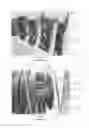 Fig. 02 - Pick-up head including an anti-wrapping device