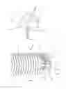 Fig. 04 - Pick-up head including an anti-wrapping device