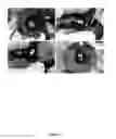 Fig. 02 - Cytoplasmic male sterile eustoma and a method for developing thereof