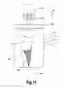 Fig. 10 - UV LIGHT-BLOCKING FERMENTING CONTAINER SYSTEM AND RELATED METHODS
