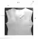 Fig. 02 - Protective body modification apparatus
