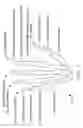 Fig. 02 - Energy absorbing athletic glove