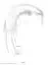 Fig. 05 - Headband