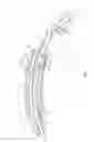 Fig. 06 - Headband