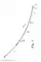Fig. 02 - SPINAL CATHETER HAVING MULTIPLE OBSTRUCTION-CLEARING FEATURES