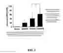 Fig. 08 - METHODS AND APPARATUSES FOR INCREASING MUCOCILIARY CLEARANCE